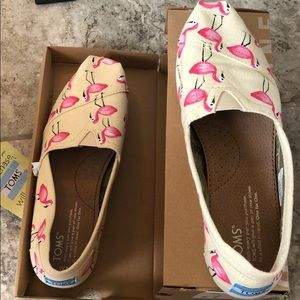Toms Flamingo slip on shoes